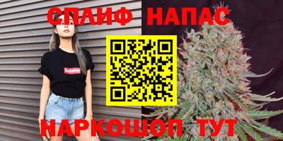 a pvp Аргун