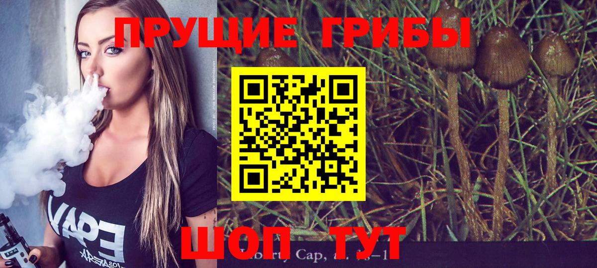 Псилоцибиновые грибы ЛСД Ахтубинск